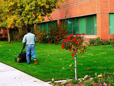 Commercial Landscape Maintenance Waxahachie, TX
