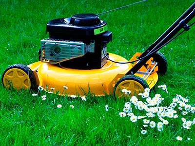 Landscape Maintenance, Waxahachie, TX