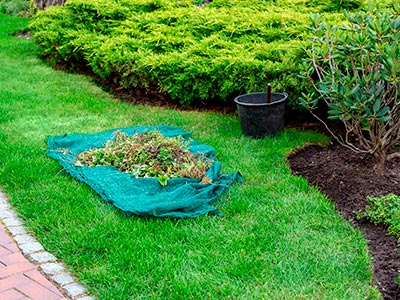 Landscape Services, Lancaster, TX