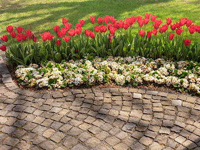 Lawn Renovations, Waxahachie, TX